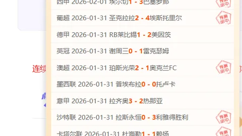 隋文静荣获全国青联表彰：履职卓越，表现杰出